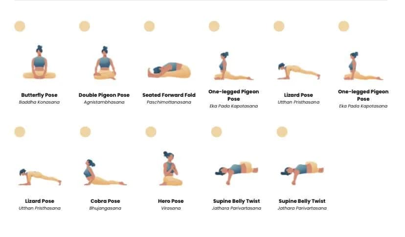 Vinyasa flow joga co to jest? Proste wyjaśnienie, korzyści i ćwiczenia dla początkujących