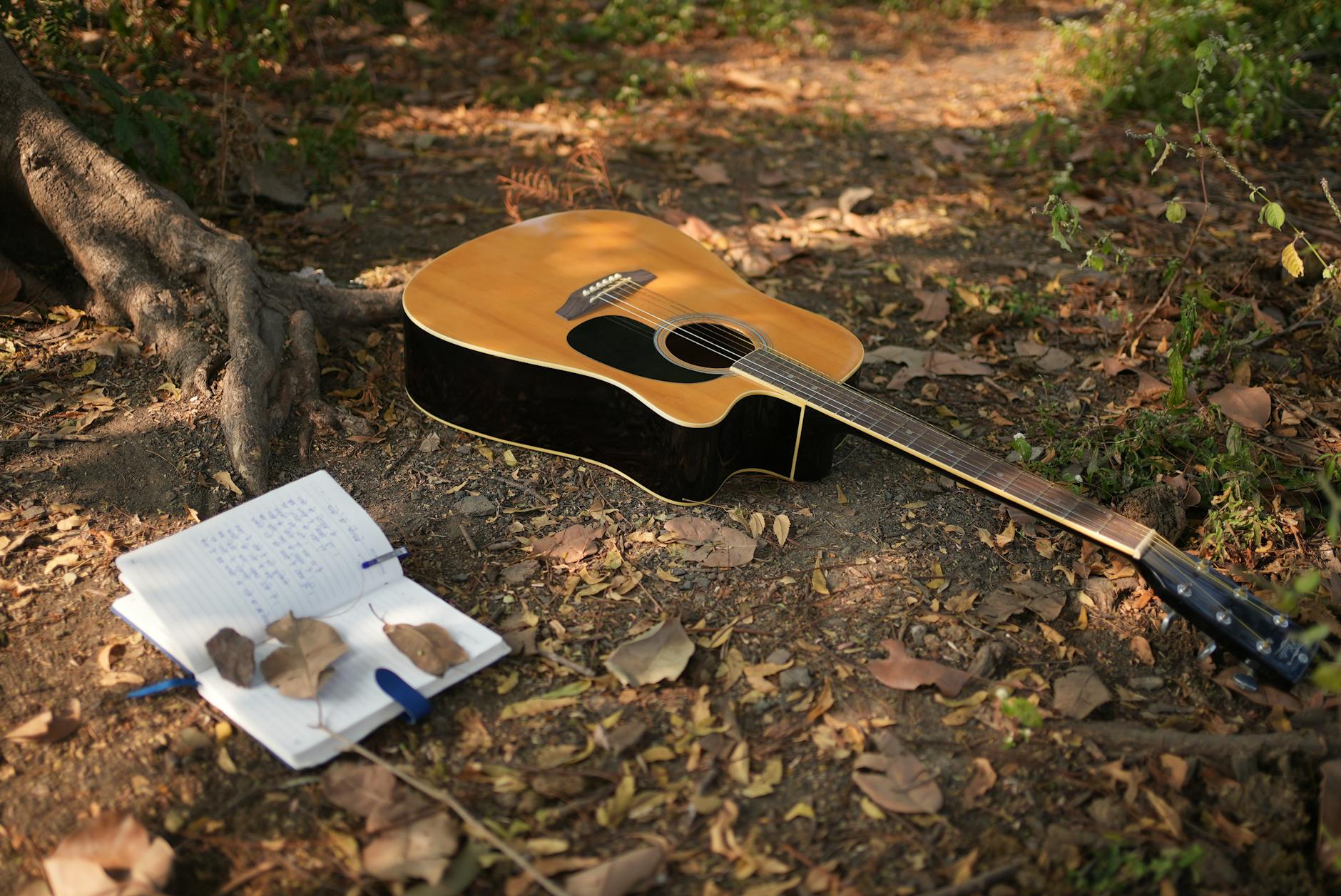 Gitara akustyczna i otwarty notes leżące na leśnej ściółce